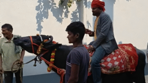 कटिहार में भैंस पर सवार होकर पहुंचे युवा&hellip;