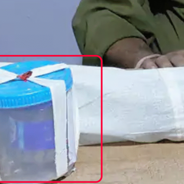 खगड़िया में रंगदारी और फायरिंग मामले में आरोपी&hellip;