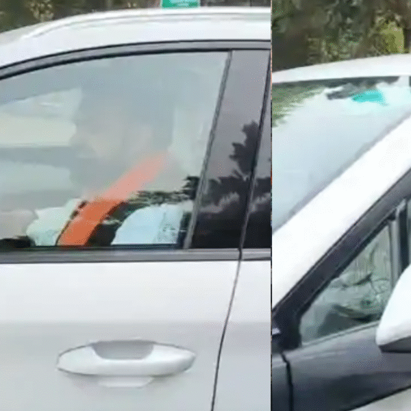 बिहार में नई सरकार के गठन के बाद&hellip;