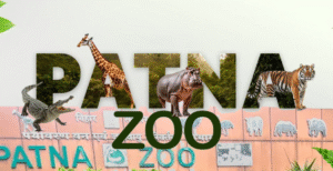 पटना चिड़ियाघर और पार्कों में टिकट के दाम&hellip;