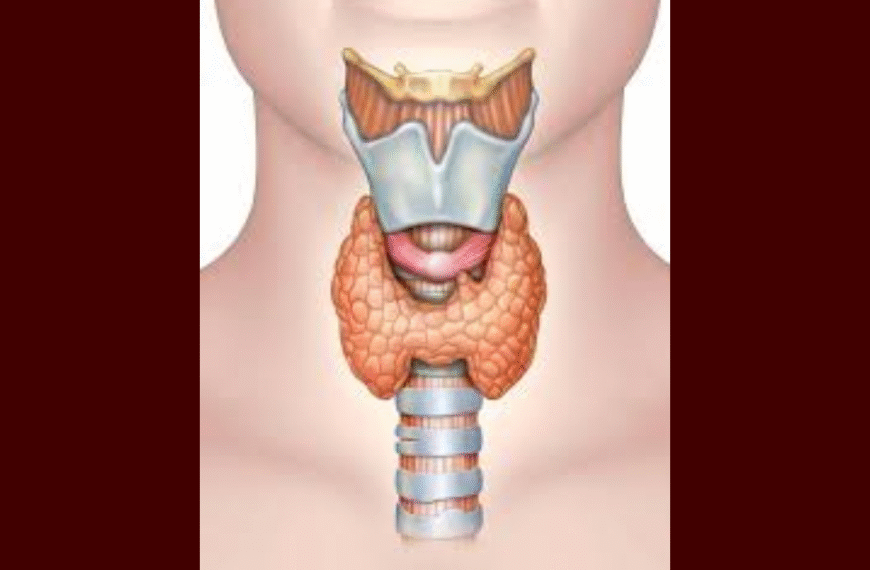 दुनिया में थायरॉइड कैंसर तेजी से…