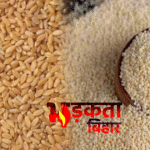 मोतीहारी में मुफ्त राशन योजना में बड़ा भ्रष्टाचार? राजद महासचिव शाश्वत गौतम ने 40 रुपए प्रति क्विंटल अवैध वसूली का आरोप लगाया