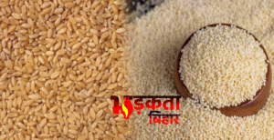 मोतीहारी में मुफ्त राशन योजना में बड़ा भ्रष्टाचार?&hellip;