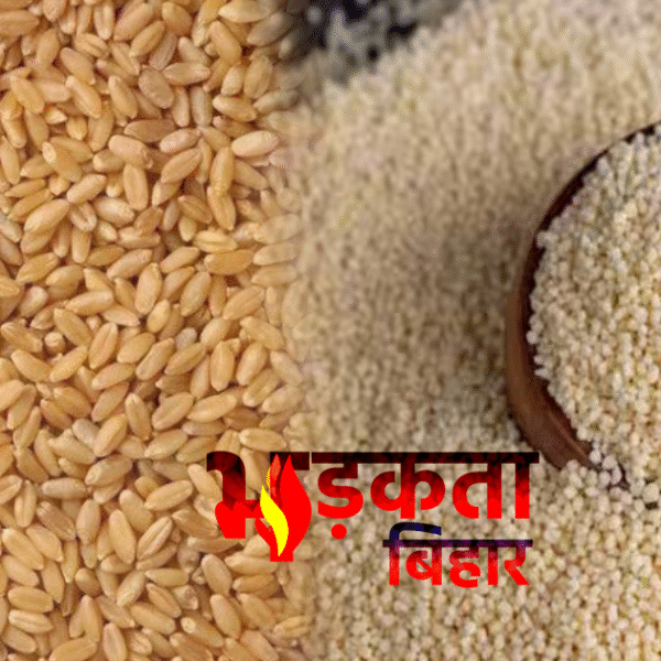 मोतीहारी में मुफ्त राशन योजना में बड़ा भ्रष्टाचार?&hellip;