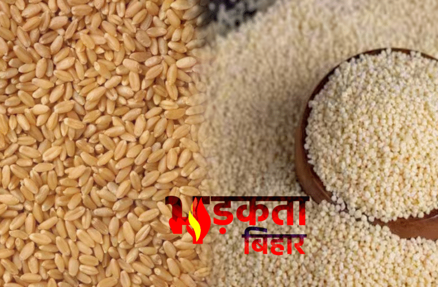 मोतीहारी में मुफ्त राशन योजना में बड़ा भ्रष्टाचार? राजद महासचिव शाश्वत गौतम ने 40 रुपए प्रति क्विंटल अवैध वसूली का आरोप लगाया