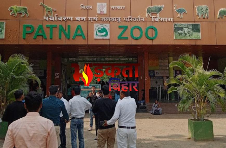 पटना जू में ठंड से बचाव के लिए शेर हीटर की गर्मी में सो रहा, चिंपांजी और भालू च्यवनप्राश खा ….