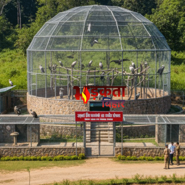 जमुई में बनेगा देश का छठवां गिद्ध संरक्षण&hellip;