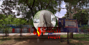 जमुई में शादी का झांसा देकर शारीरिक शोषण&hellip;