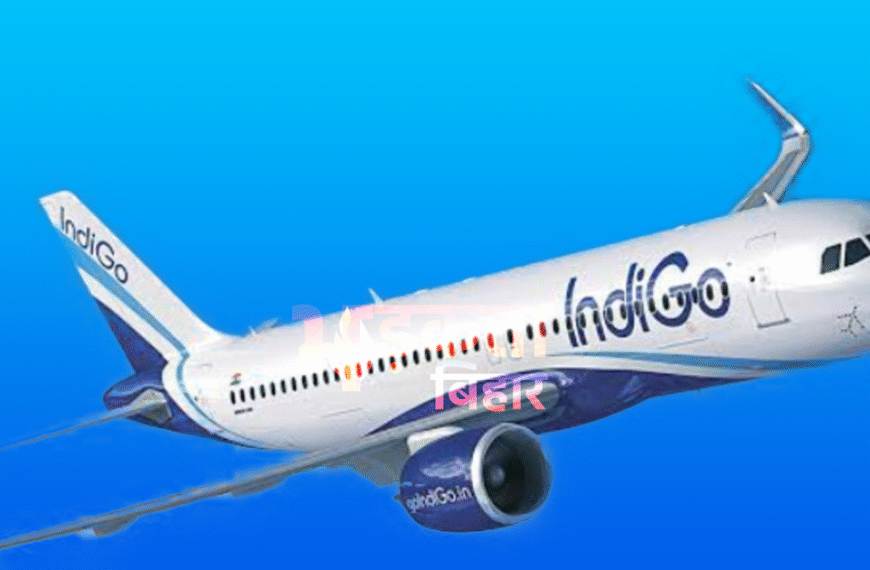 वित्त वर्ष 2024-25 में इंडिगो ही लाभ में, अन्य प्रमुख एयरलाइंस भारी घाटे में