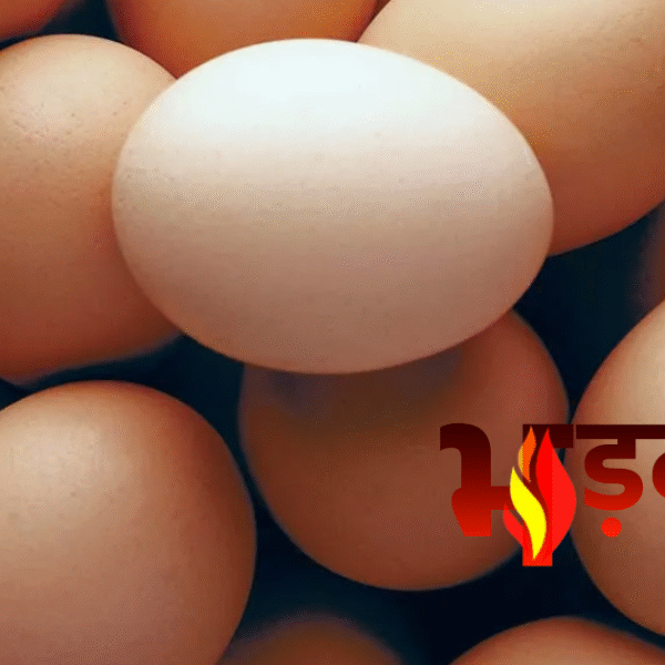 क्या अंडे खाने से बढ़ रहा है कैंसर&hellip;