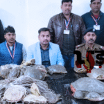 गया जंक्शन पर आरपीएफ का बड़ा ऑपरेशन: नेताजी एक्सप्रेस से 76 जीवित कछुए बरामद, कीमत 38 लाख रुपये