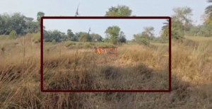 सुपौल के निर्मली में सर्वे अमीन 20 हजार&hellip;