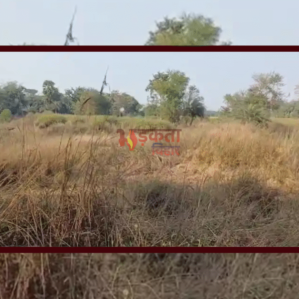 सुपौल के निर्मली में सर्वे अमीन 20 हजार…