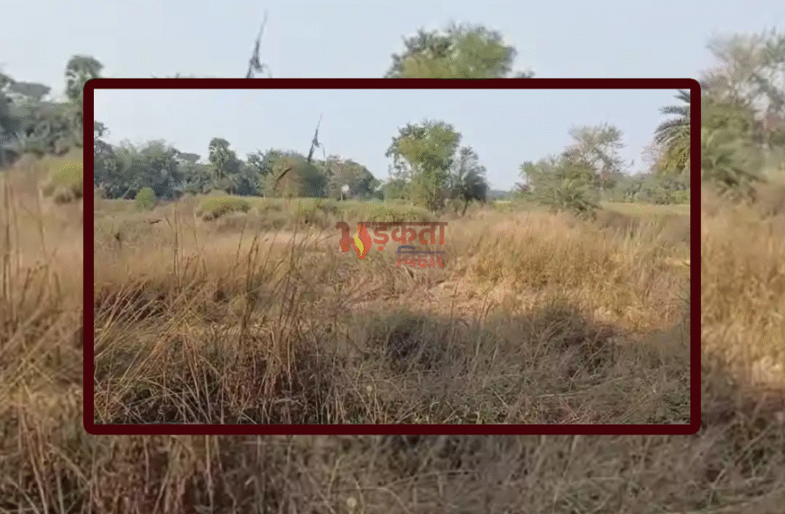 अमृत सरोवर बनने से पहले&hellip;