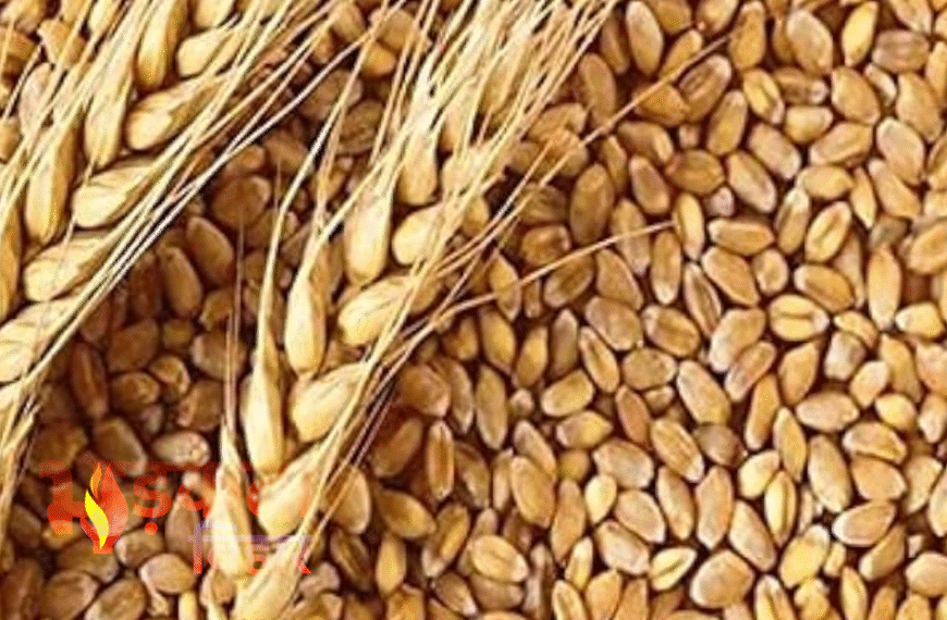 मोतीहारी के TPDS गोदामों में…