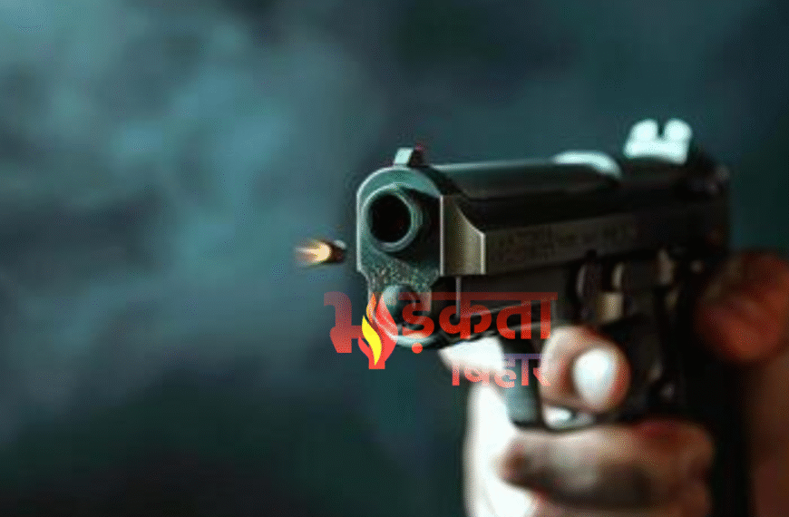 पटना के नौबतपुर में जमीन…