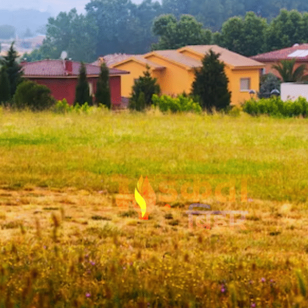 13 साल बाद बढ़ेगी बिहार के ग्रामीण इलाकों&hellip;