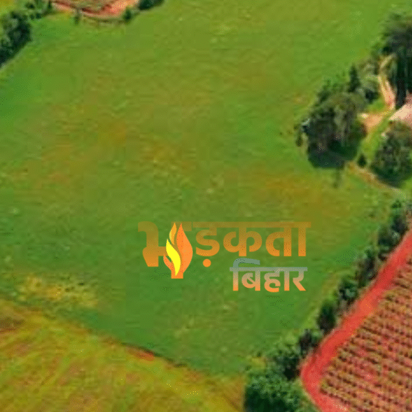 बिहार सरकार का सख्त कदम: अवैध और फर्जी&hellip;