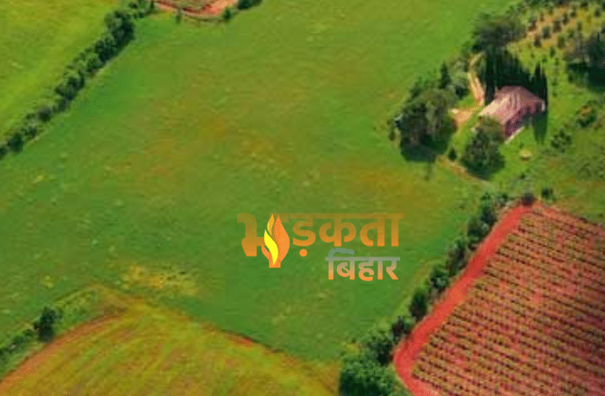 बिहार सरकार का सख्त कदम:&hellip;