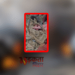 सिवान में समृद्धि यात्रा स्थल के पास भयंकर ब्लास्ट, एक की मौत, दर्जनों घायल