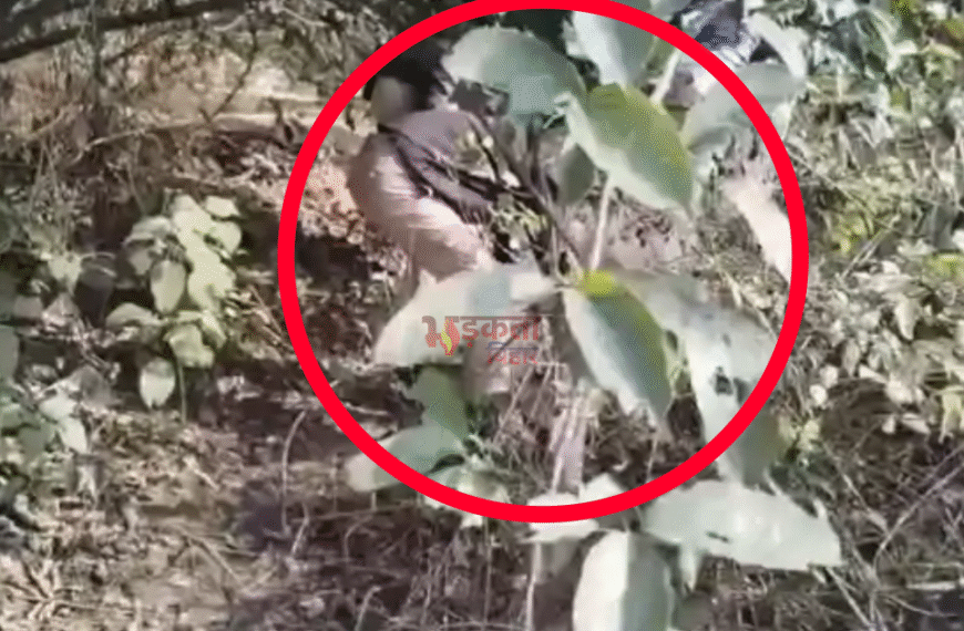 नवादा में शराब माफियाओं पर पुलिस की बड़ी कार्रवाई, जंगल में चल रही अवैध शराब भट्टियां ध्वस्त