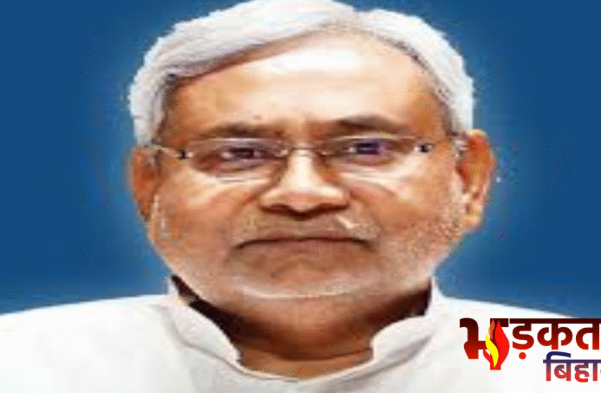 नीतीश कुमार की अध्यक्षता में कैबिनेट बैठक, रोजगार और विकास योजनाओं पर अहम निर्णय