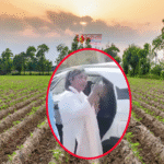 बांका के अमरपुर में महिला अमीन का कथित गाली-गलौज वीडियो वायरल, जांच के आदेश