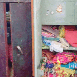 मधुबनी में पूर्व प्राचार्य के घर 2 करोड़ की डकैती, 9 कमरे खंगाले; DVR भी ले गए बदमाश