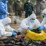 भागलपुर के नवगछिया में बर्ड फ्लू की पुष्टि, 150 से अधिक कौओं की मौत से प्रशासन अलर्ट मोड में