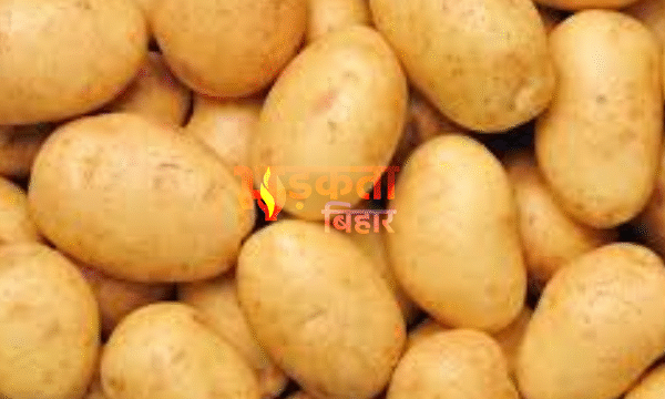 बिहार में आलू किसानों पर दोहरी मार: लागत…