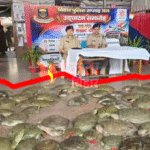 पटना जंक्शन पर बड़ा खुलासा: 100 से ज्यादा जिंदा कछुए बरामद, तस्करी का नेटवर्क बेनकाब