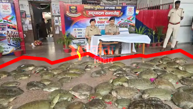 पटना जंक्शन पर बड़ा खुलासा: 100 से ज्यादा जिंदा कछुए बरामद, तस्करी का नेटवर्क बेनकाब