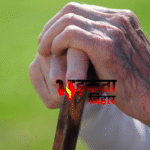 Bihar Pension News: जीवन प्रमाणीकरण नहीं कराया तो अप्रैल से बंद होगी पेंशन, लाखों लाभार्थियों को अलर्ट