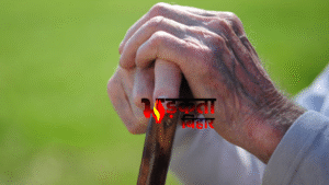 Bihar Pension News: जीवन प्रमाणीकरण नहीं कराया तो&hellip;