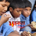 पटना के सरकारी स्कूलों के भोजन में ई-कोलाई बैक्टीरिया के संकेत, जांच में खुलासा