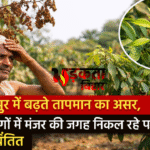 मुजफ्फरपुर में बढ़ते तापमान का असर, लीची के बागों में मंजर की जगह निकल रहे पत्ते, किसान चिंतित