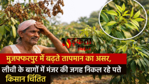 मुजफ्फरपुर में बढ़ते तापमान का असर, लीची के&hellip;