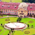 पटना हाईकोर्ट में हाई-स्पीड इंटरनेट और वाई-फाई की मांग, जनहित याचिका पर 16 मार्च को सुनवाई