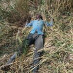 बेगूसराय में गेहूं के खेत से युवक का शव बरामद, इलाके में सनसनी