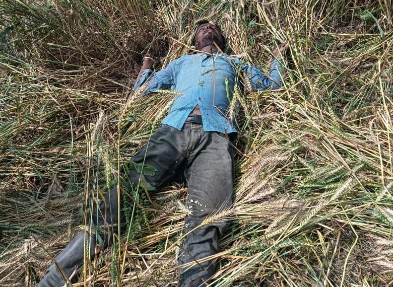 बेगूसराय में गेहूं के खेत से युवक का शव बरामद, इलाके में सनसनी