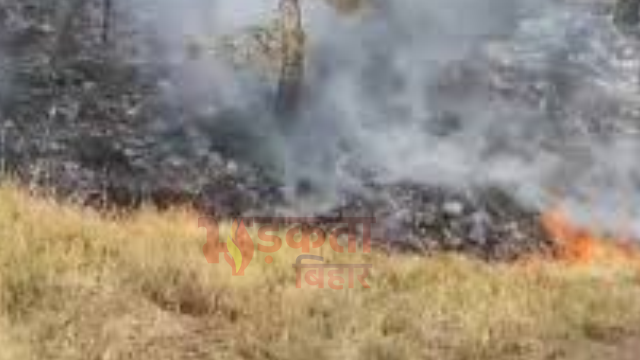 नेपाल सीमा पर SSB कैंप के पास जंगल में भीषण आग, लपटें बढ़ीं तो जवानों ने संभाला मोर्चा