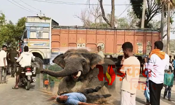 नवादा में जंगली हाथियों का कहर: घर तोड़े,&hellip;