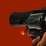 बिहार पुलिस का सख्त एक्शन: 24 घंटे में दूसरा एनकाउंटर, सीवान में आरोपी ढेर नहीं, घायल
