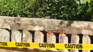 बेगूसराय में सर्च ऑपरेशन के दौरान देशी बम&hellip;