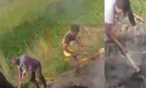Bihar Crime News: शराब पार्टी में जहर, प्रेमी&hellip;