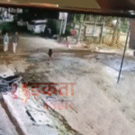 पटना में बढ़ी छिनतई की वारदातें: VVIP इलाके में महिला से चेन स्नैचिंग, पुलिस पर उठे सवाल