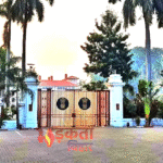 सुबह-सुबह पटना DM को राज्यपाल का तलब, नई सरकार के शपथ ग्रहण को लेकर बढ़ी हलचल