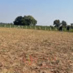 Bihar News: जमीन मामलों में लापरवाही नहीं होगी बर्दाश्त, सरकार सख्त; FIFO सिस्टम 30 जून तक निलंबित