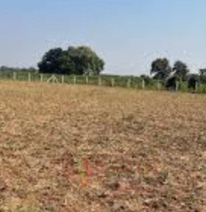 Bihar News: जमीन मामलों में लापरवाही नहीं होगी&hellip;