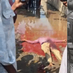 फारबिसगंज में मामूली विवाद बना जानलेवा, सत्तू विक्रेता के हमले में पिकअप ड्राइवर की मौत